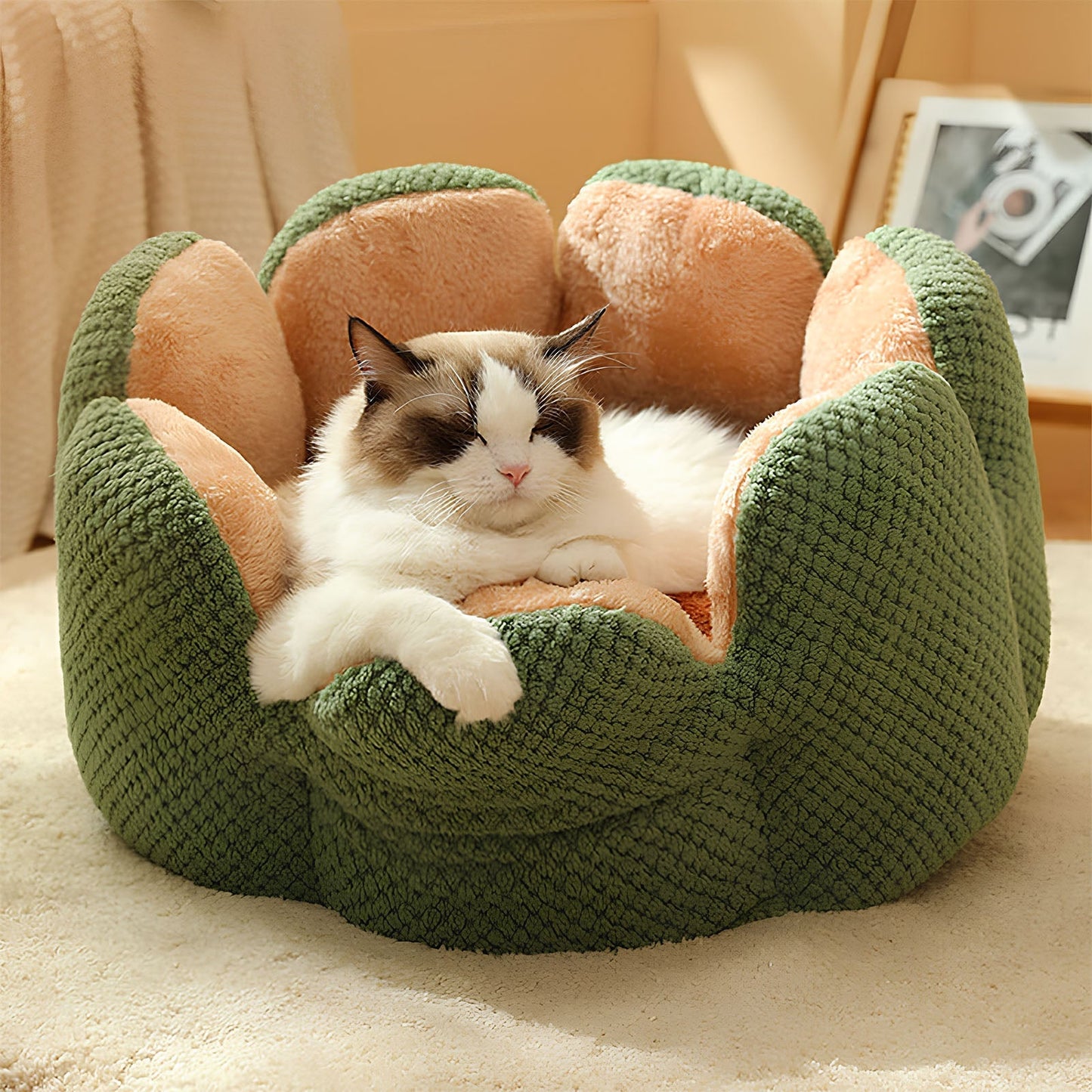 Cactus Collection | Pet Bed for Cats & Small Dogs with Soft Plush Material | Cozy Retreat for Ultimate Comfort 6