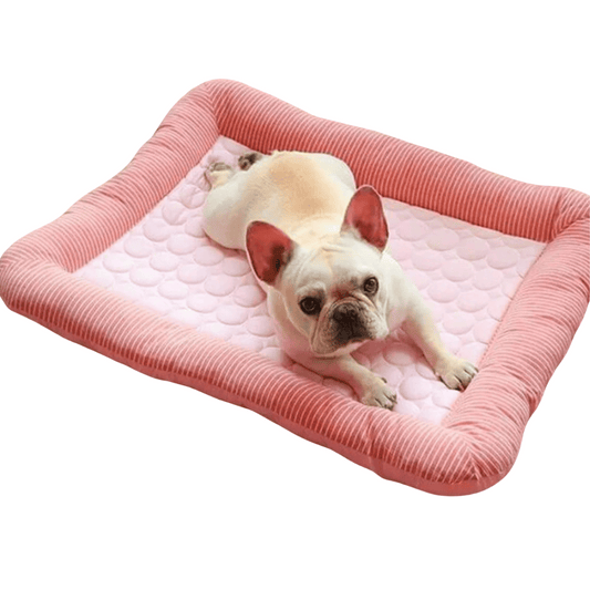 Comfort Pet | Dog Cooling Mat with Advanced Heat Dissipation | Durable Cushion for Ultimate Pet Comfort 2