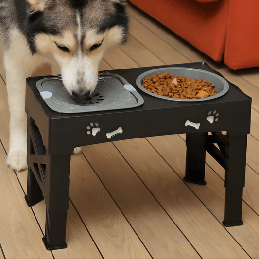 Elevated Dog Bowl Stand with Adjustable Height & Maze Design | Healthy Eating Solution for Large Dogs 1