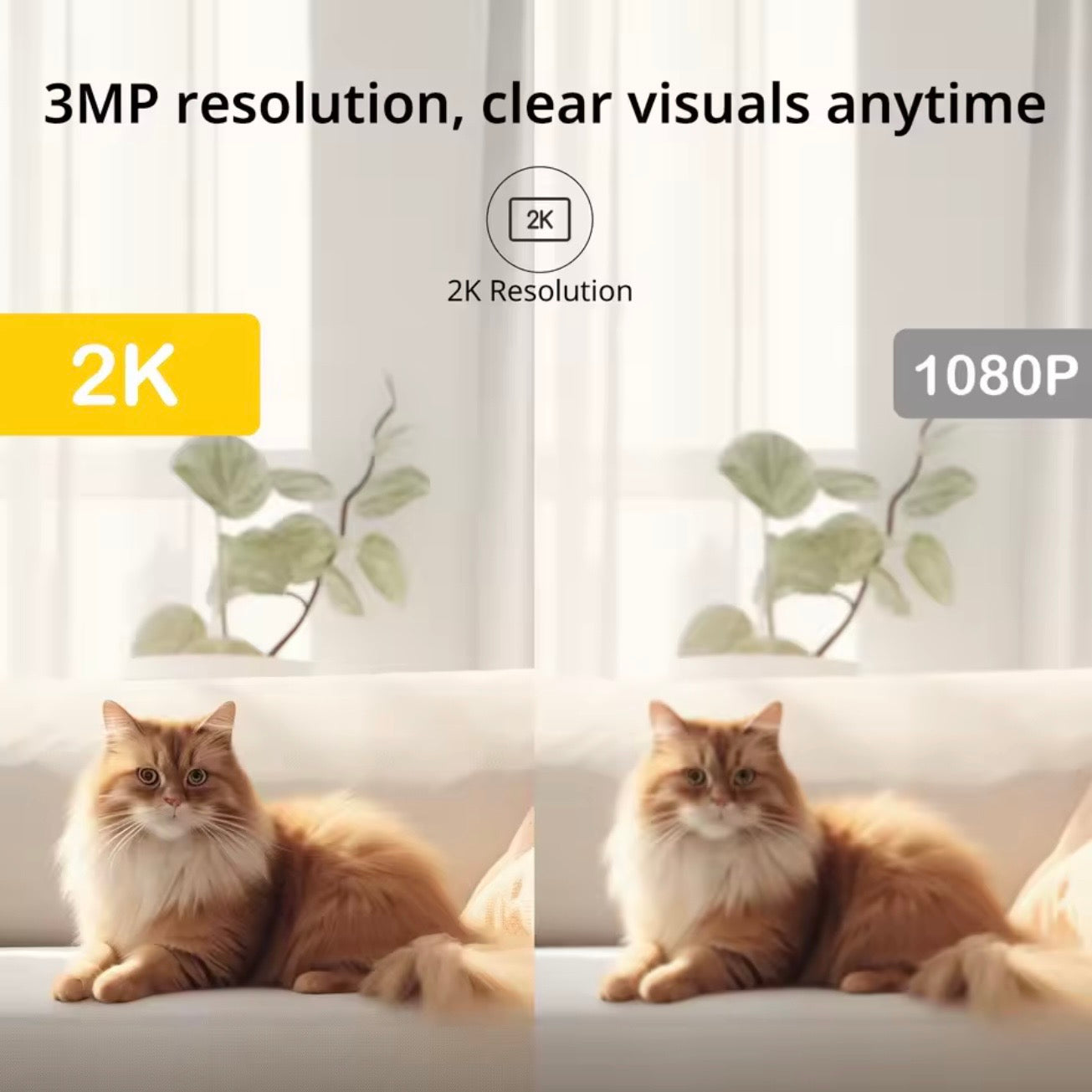 Smart Indoor Pet Camera | 2K Resolution with Night Vision & Two-Way Audio | Ideal Dog & Cat Monitor
