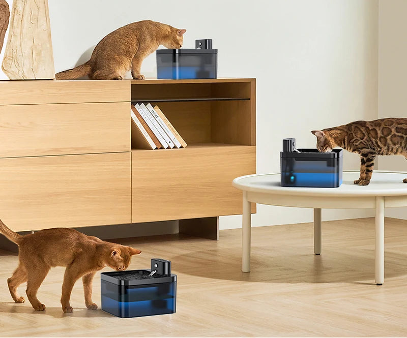 AquaPaw | Automatic Cat Fountain | Advanced Filtration & Ultra-Quiet