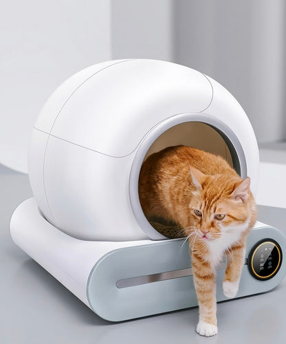CleanPaw | Automatic Cat Litter Box – Self-Cleaning & App-Controlled
