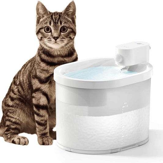 Automatic Cat Fountain with Motion Sensor Flow | Encourages Hydration for Healthy Cats 0