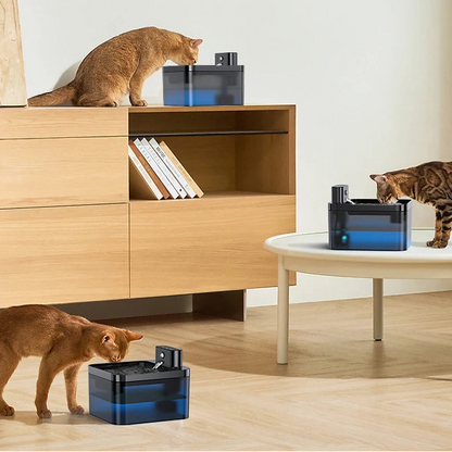 Automatic Cat Water Fountain | 2.2L | Infrared Sensor | USB-C Rechargeable | Quiet | Black