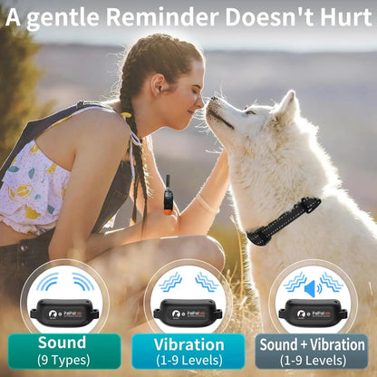 BarkShield | Anti Bark Collar for Dogs with Sound & Vibration | Adjustable Fit for Stress-Free Bark Control 1