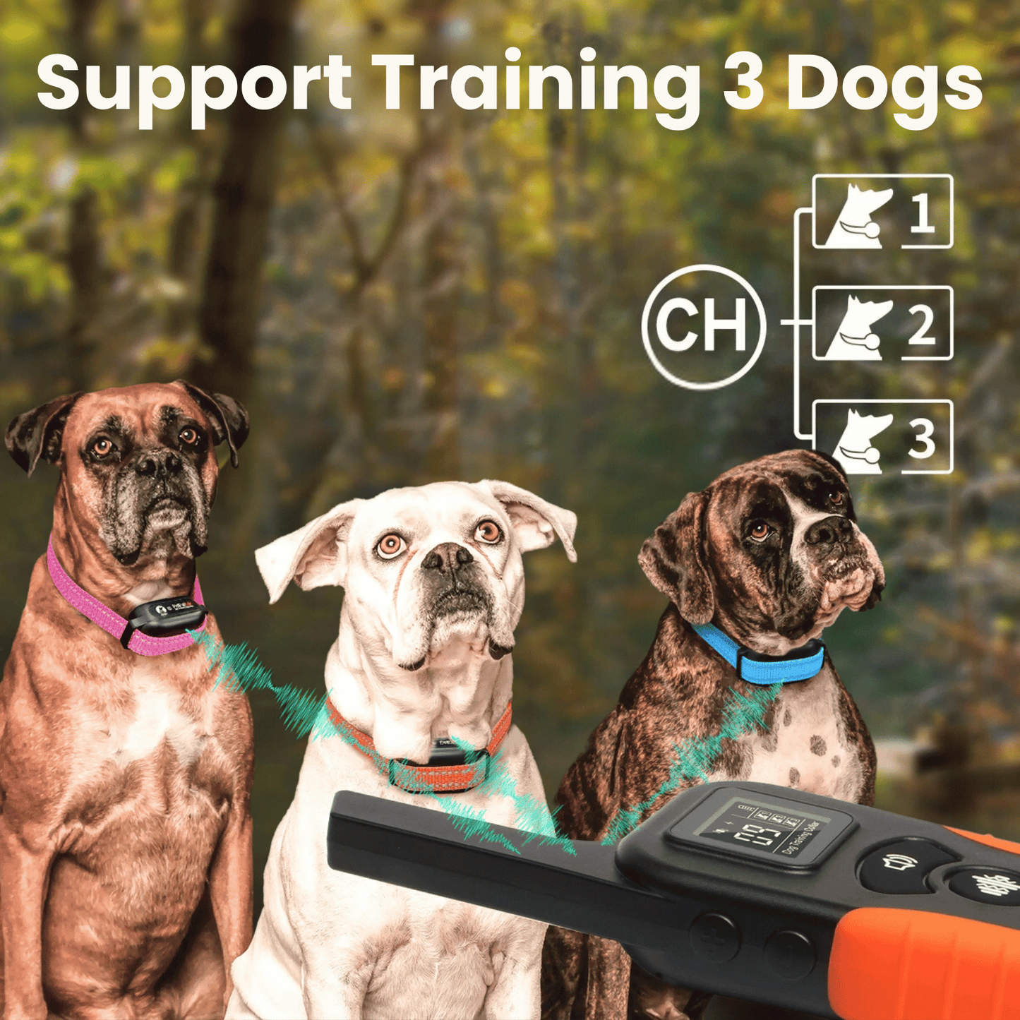 BarkShield | Anti Bark Collar for Dogs with Sound & Vibration | Adjustable Fit for Stress-Free Bark Control 8