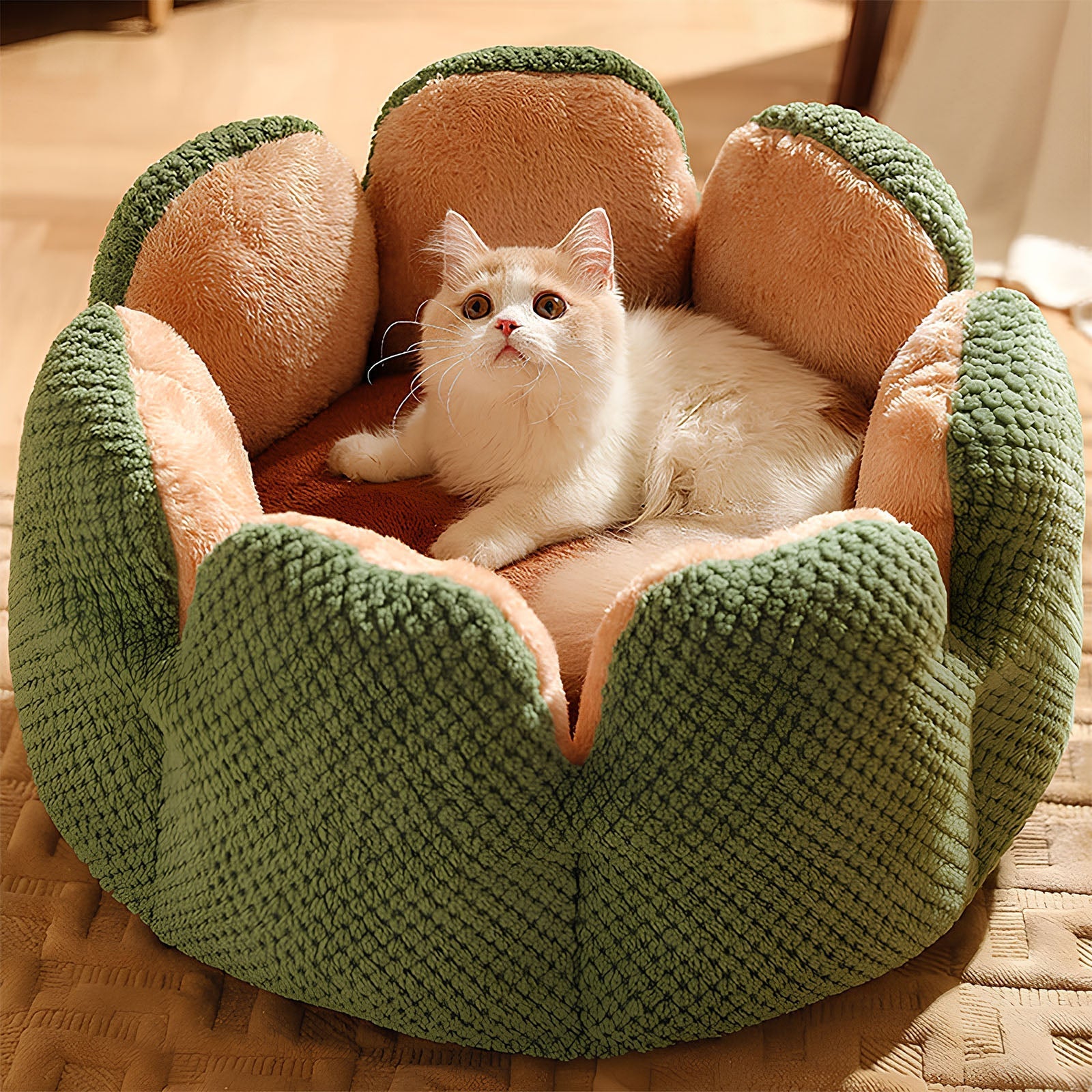 Cactus Collection | Pet Bed for Cats & Small Dogs with Soft Plush Material | Cozy Retreat for Ultimate Comfort 0