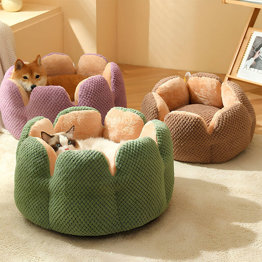 Cactus Collection | Pet Bed for Cats & Small Dogs with Soft Plush Material | Cozy Retreat for Ultimate Comfort 1