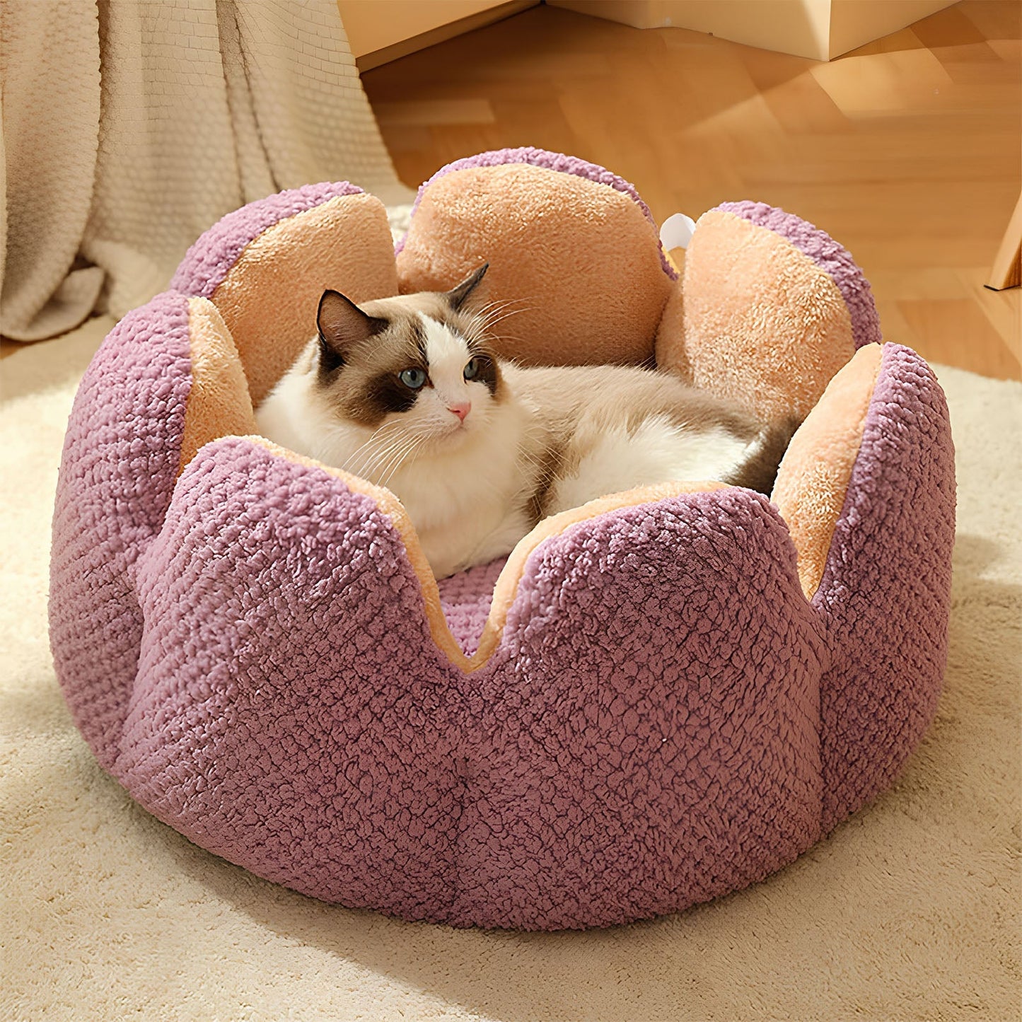 Cactus Collection | Pet Bed for Cats & Small Dogs with Soft Plush Material | Cozy Retreat for Ultimate Comfort 3