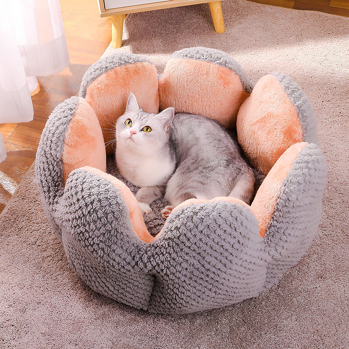 Cactus Collection | Pet Bed for Cats & Small Dogs with Soft Plush Material | Cozy Retreat for Ultimate Comfort 4