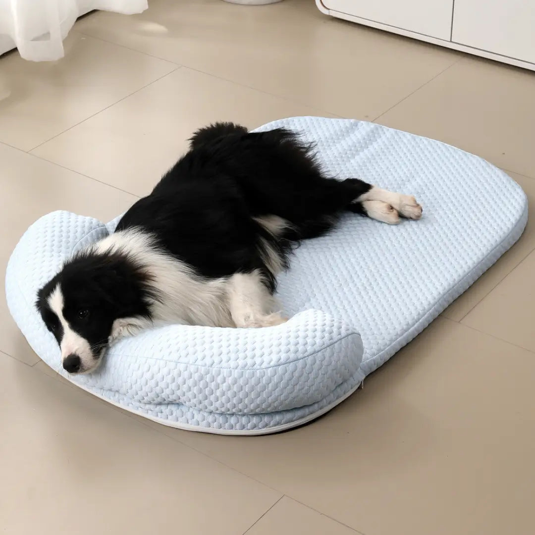 Chillbuddy Oasis | Orthopedic Dog Bed with Cooling Gel Mat | Supportive Pet Bed for Ultimate Comfort 0