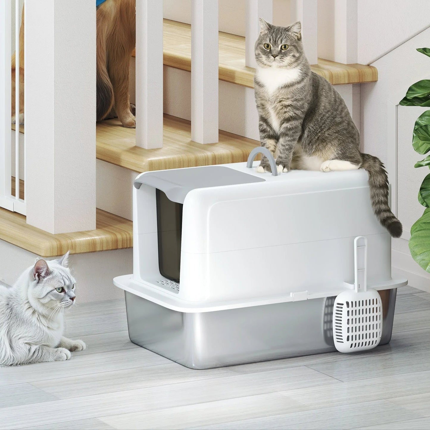 Comfort Haven | Cat Litter Box with Easy Clean Tray & Private Enclosure | Durable Stainless Steel for Odor Control 2