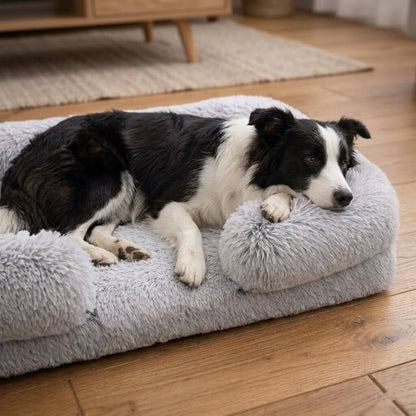 Comfort Haven | Orthopedic Dog Bed with High-Density Foam & Bolster Support | Large Size for Joint Relief 2
