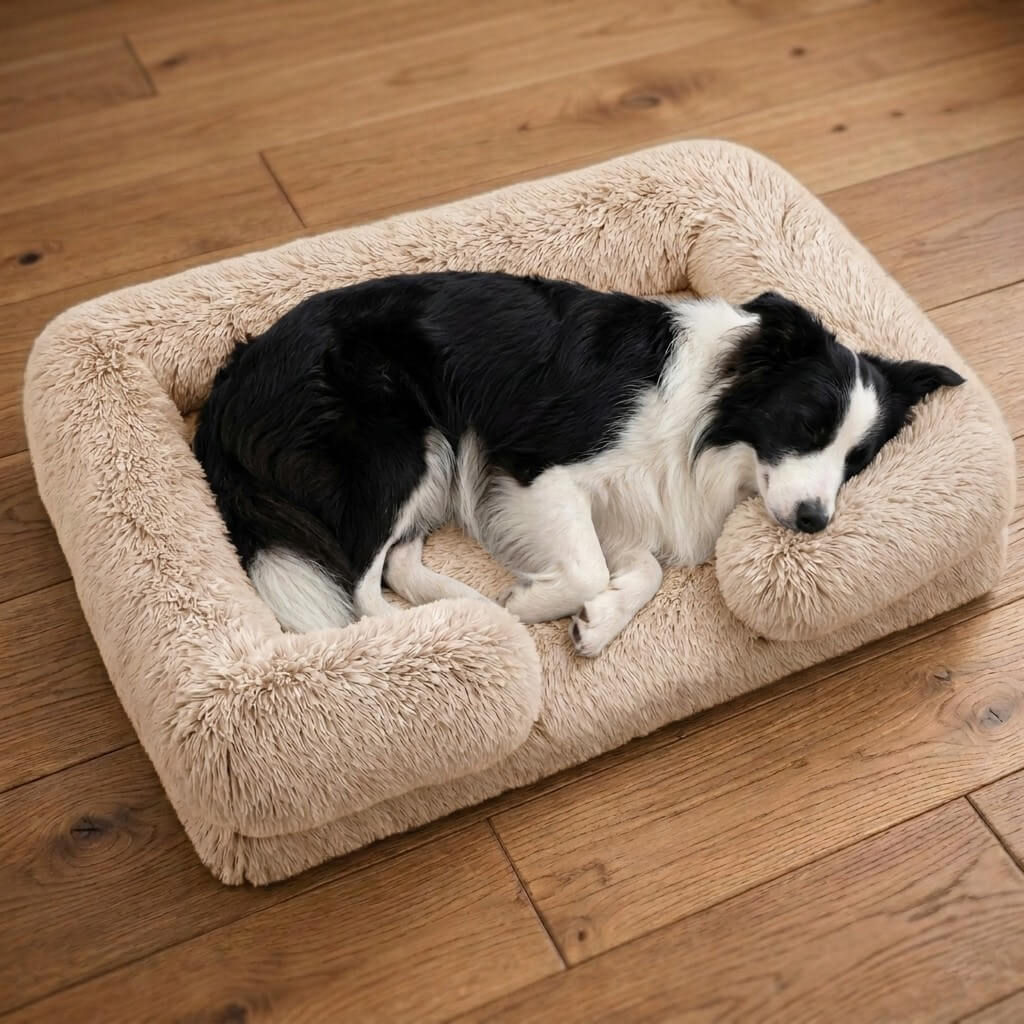 Comfort Haven | Orthopedic Dog Bed with High-Density Foam & Bolster Support | Large Size for Joint Relief 8