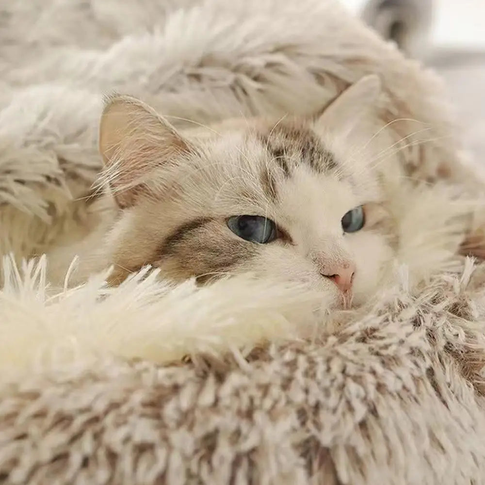 Cozy Cat Cave | Plush Cat Bed with Soft Textures for Ultimate Comfort 6
