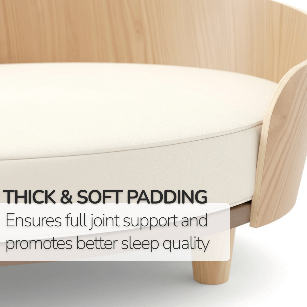 Cozy Haven | Elevated Dog Bed with Thick Cushion & Non-Slip Design | Secure Space for Ultimate Comfort 2