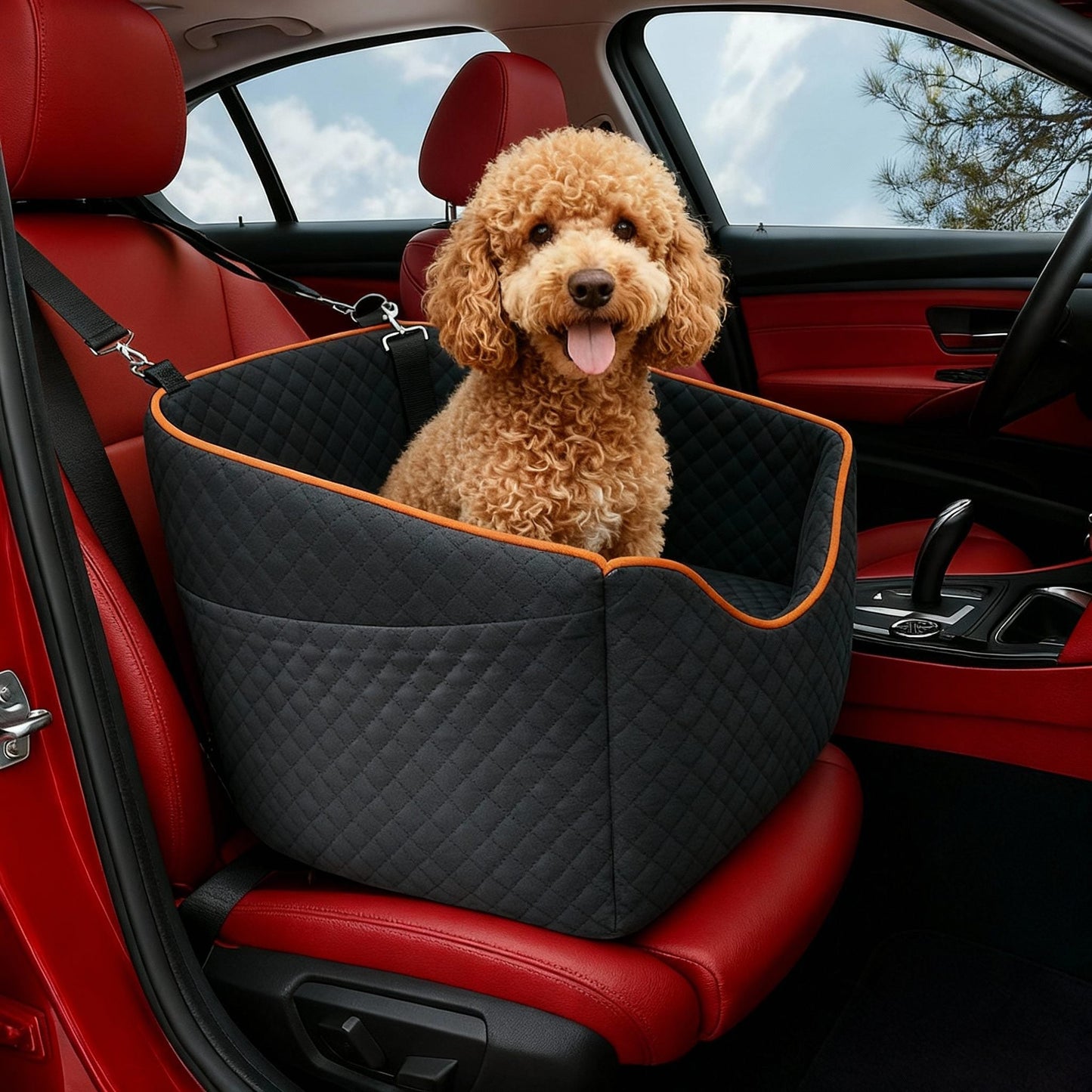 Elevated Dog Booster Car Seat with Safety Belt | Comfortable Design for Small Dogs 0