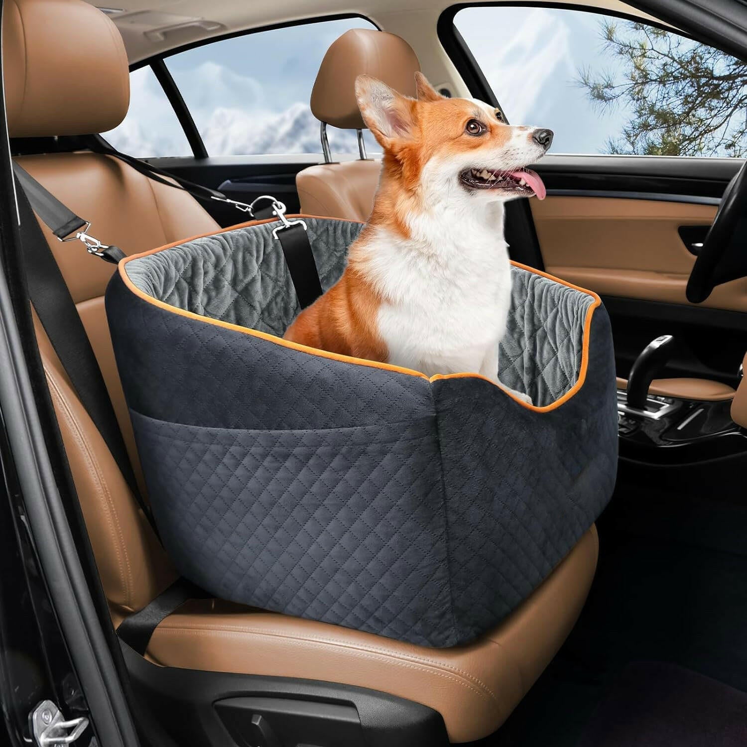 Elevated Dog Booster Car Seat with Safety Belt | Comfortable Design for Small Dogs 2