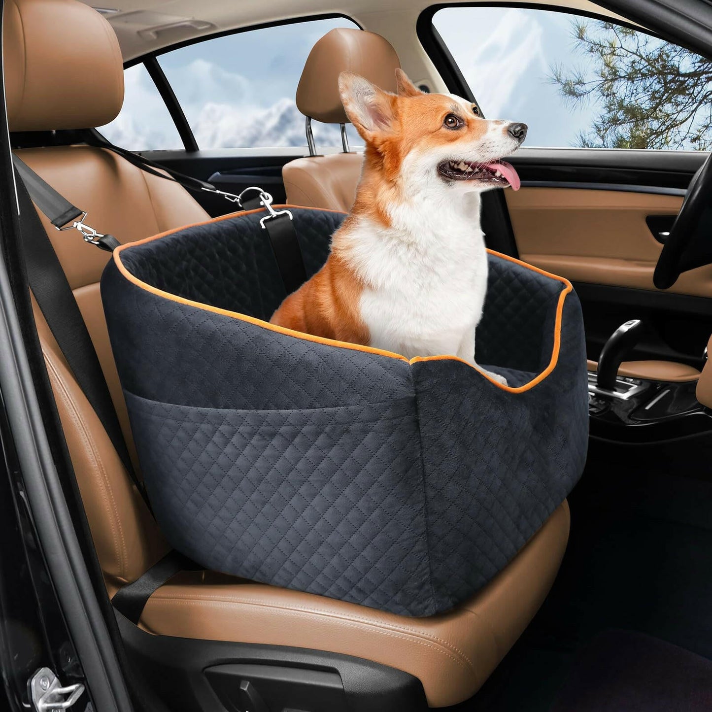 Elevated Dog Booster Car Seat with Safety Belt | Comfortable Design for Small Dogs 3