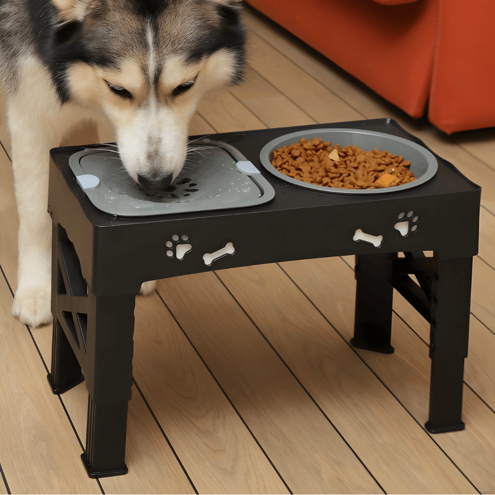 Elevated Dog Bowl Stand with Adjustable Height & Maze Design | Healthy Eating Solution for Large Dogs 1