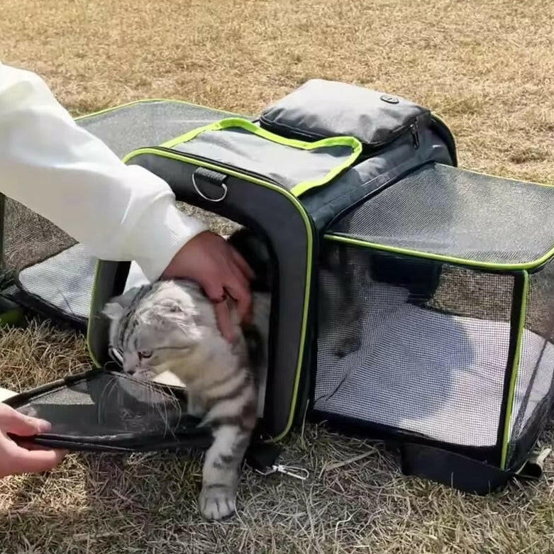 Expandable Pet Carrier | Breathable Mesh Dog & Cat Carrier Bag with Comfortable Interior | Lightweight & Foldable for Easy Travel 4