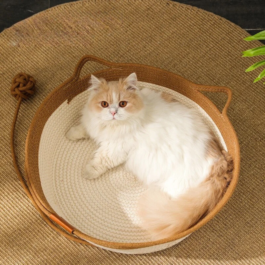 Handwoven Cotton Rope Cat Bed with High Sides | Stylish & Durable Pet Furniture for Ultimate Comfort 4