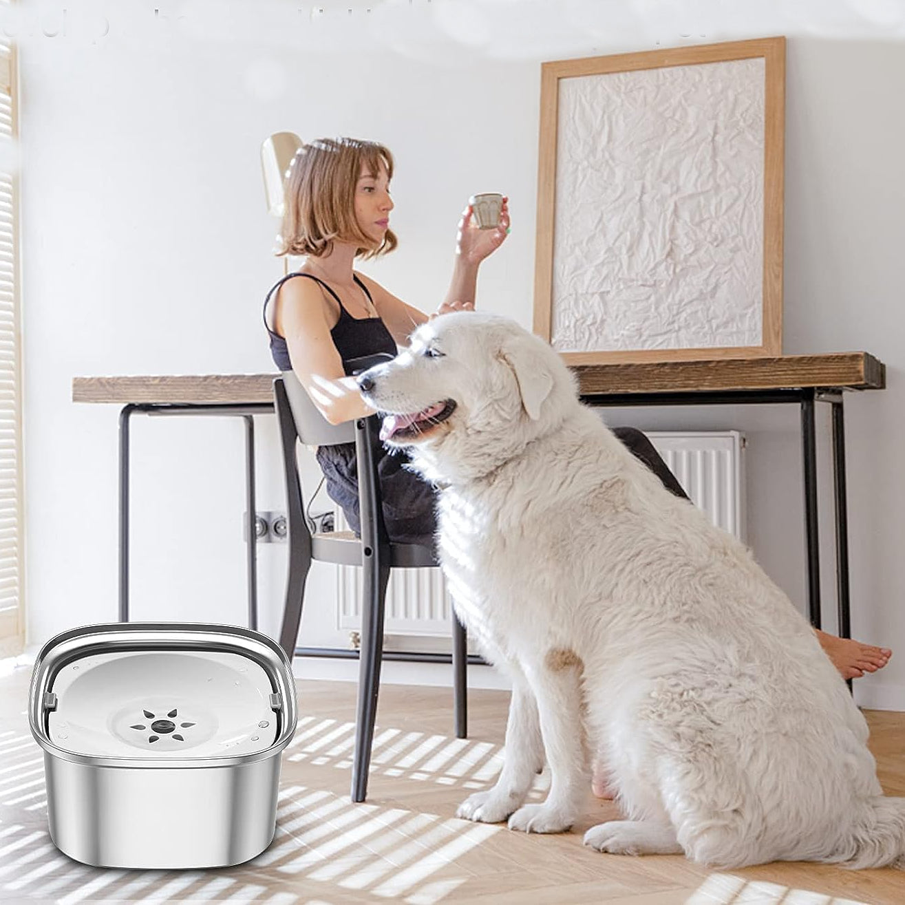 HydroPaw | Slow Feeder Dog Bowl with Spill-Proof Design | Durable Stainless Steel for Clean Hydration 12