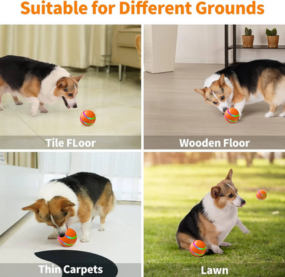 Interactive Pet Toy | Smart Dog and Cat Ball with Motion Activation | Engaging Playtime for Active Pets 6