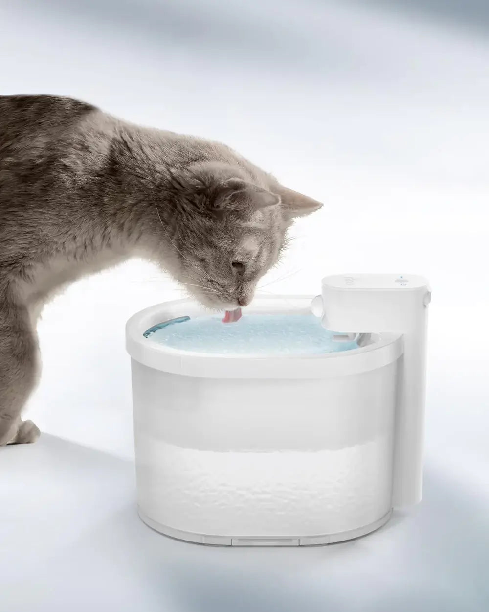 Motion Sensor Cat Water Fountain | 2L | 6-Layer Filtration | USB Rechargeable | Quiet | Black
