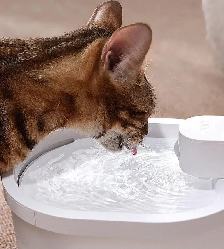 Motion Sensor Cat Water Fountain | 2L | 6-Layer Filtration | USB Rechargeable | Quiet | Black