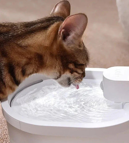 Motion Sensor Cat Water Fountain | 2L | 6-Layer Filtration | USB Rechargeable | Quiet | Black