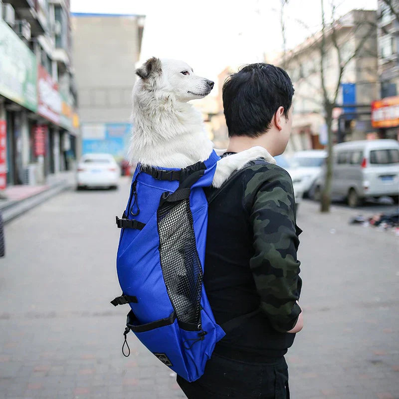 Multifunctional Dog Backpack Carrier with Ergonomic Design | Lightweight Rucksack for Comfortable Outdoor Adventures 11