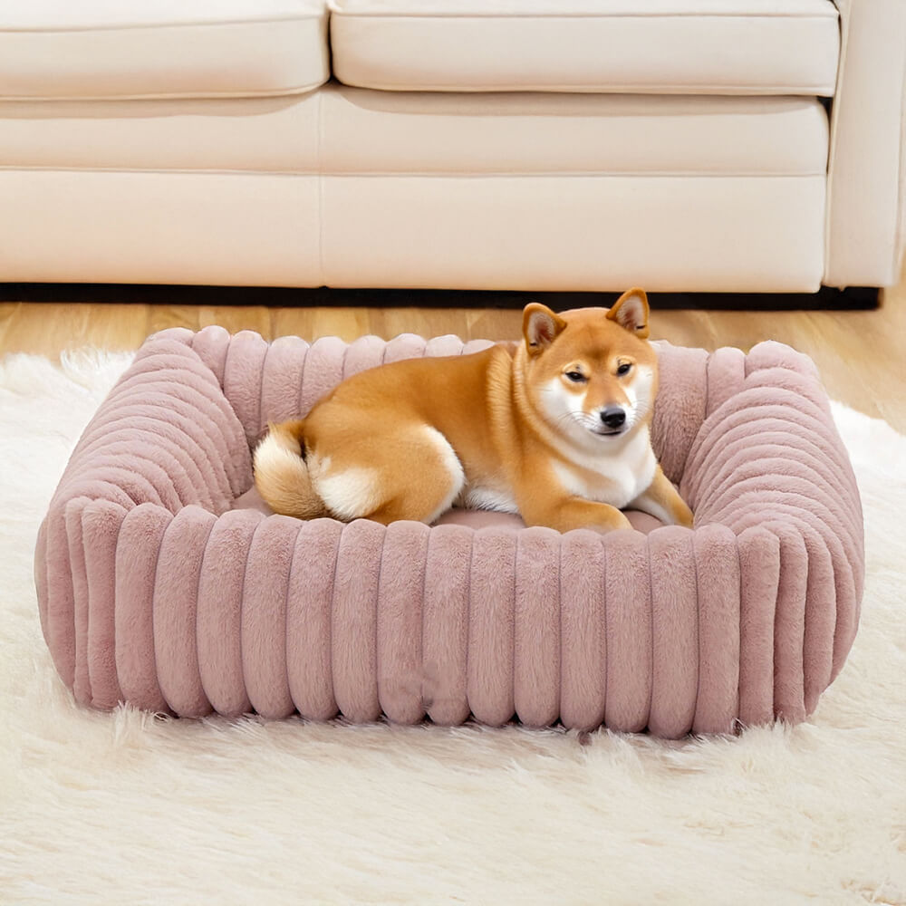 Orthopedic Dog Bed | Foam Base & Raised Edges | Small & Medium | 5 Colors | Hand Washable