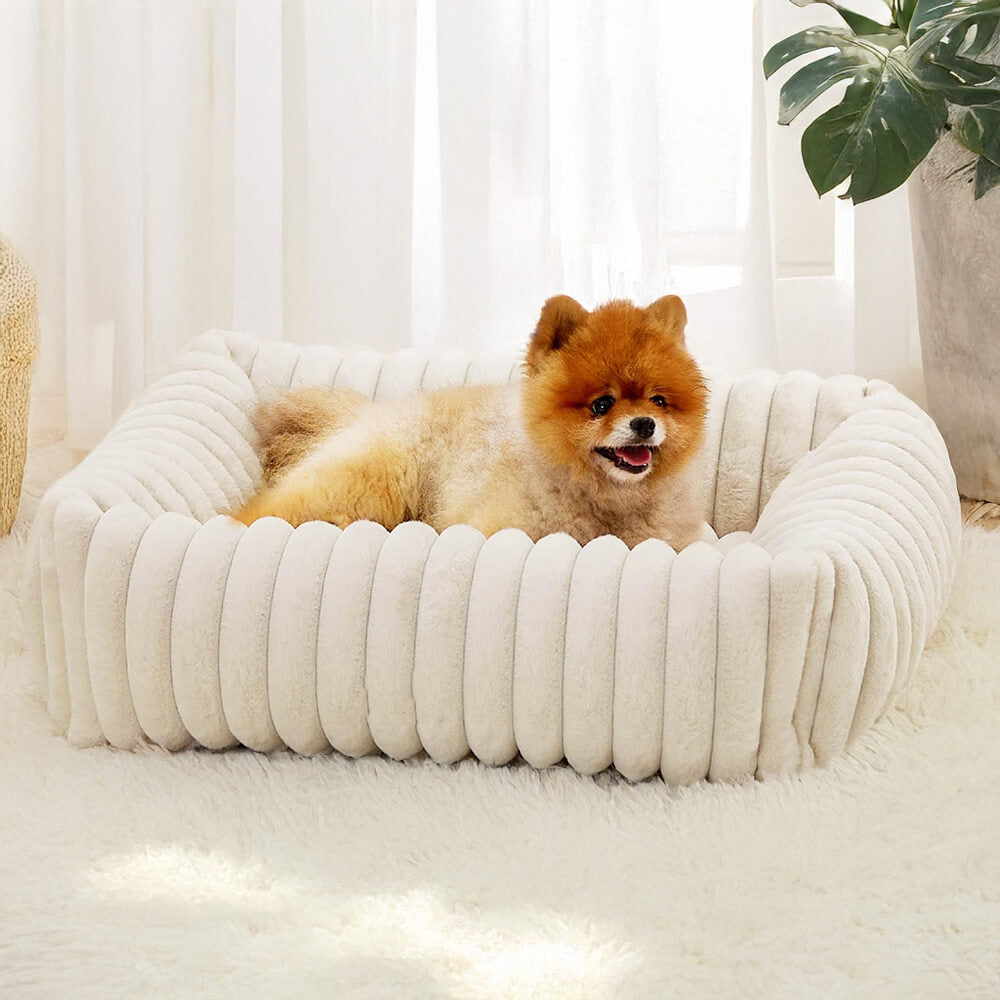 Orthopedic Dog Bed | Foam Base & Raised Edges | Small & Medium | 5 Colors | Hand Washable