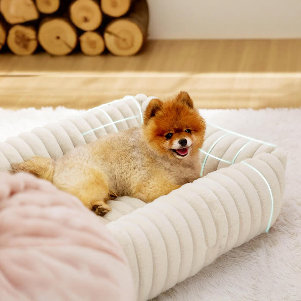 Orthopedic Dog Bed | Foam Base & Raised Edges | Small & Medium | 5 Colors | Hand Washable