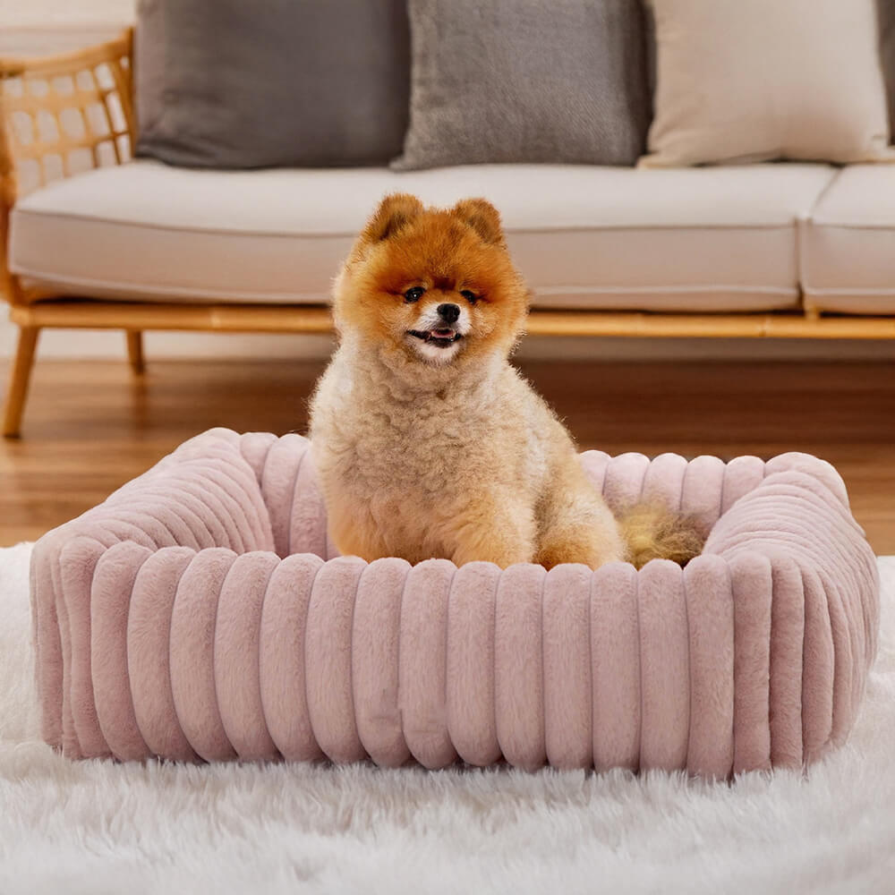 Orthopedic Dog Bed | Foam Base & Raised Edges | Small & Medium | 5 Colors | Hand Washable