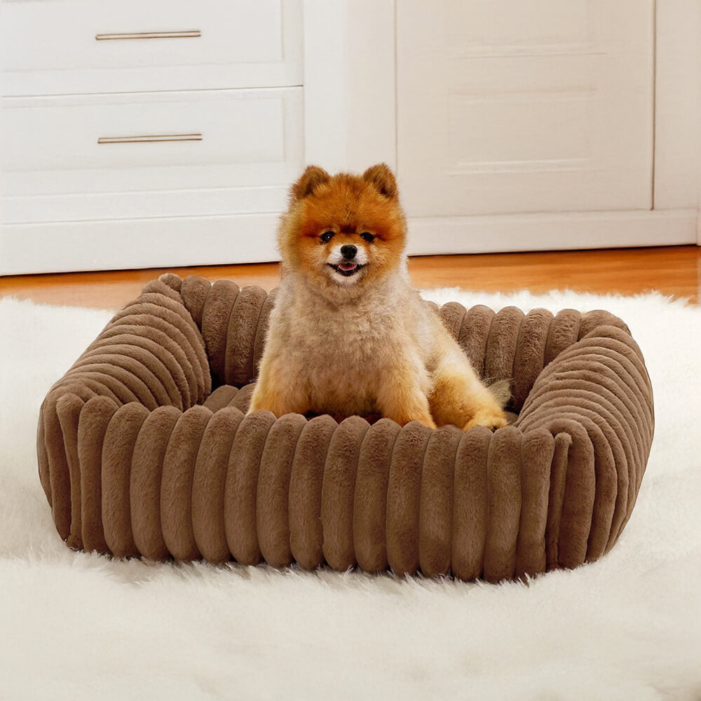 Orthopedic Dog Bed | Foam Base & Raised Edges | Small & Medium | 5 Colors | Hand Washable