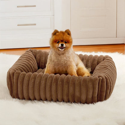 Orthopedic Dog Bed | Foam Base & Raised Edges | Small & Medium | 5 Colors | Hand Washable
