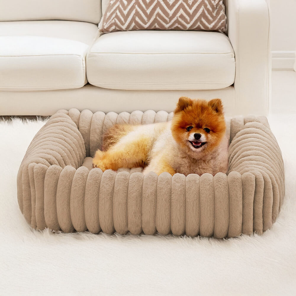 Orthopedic Dog Bed | Foam Base & Raised Edges | Small & Medium | 5 Colors | Hand Washable