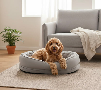 Orthopedic Dog Bed | Removable Washable Cover | Water-Resistant | Medium & Large | 6 Colors