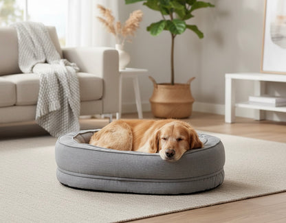 Orthopedic Dog Bed | Removable Washable Cover | Water-Resistant | Medium & Large | 6 Colors