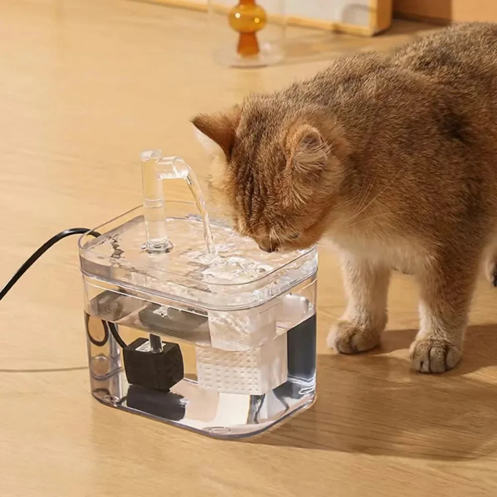 Pet Water Fountain | Cat Drinking Fountain with Multi-Stage Filtration | Continuous Flow for Optimal Hydration 2