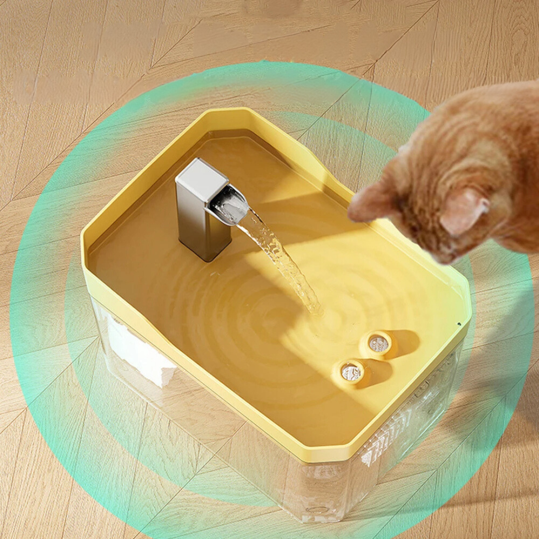 Pet Water Fountain | Cat Drinking Fountain with Multi-Stage Filtration | Continuous Flow for Optimal Hydration 6