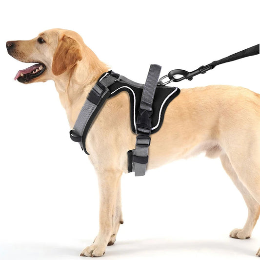 PupSafe | Dog Harness with Handle & Reflective Material | Adjustable Fit for Enhanced Safety During Walks 0
