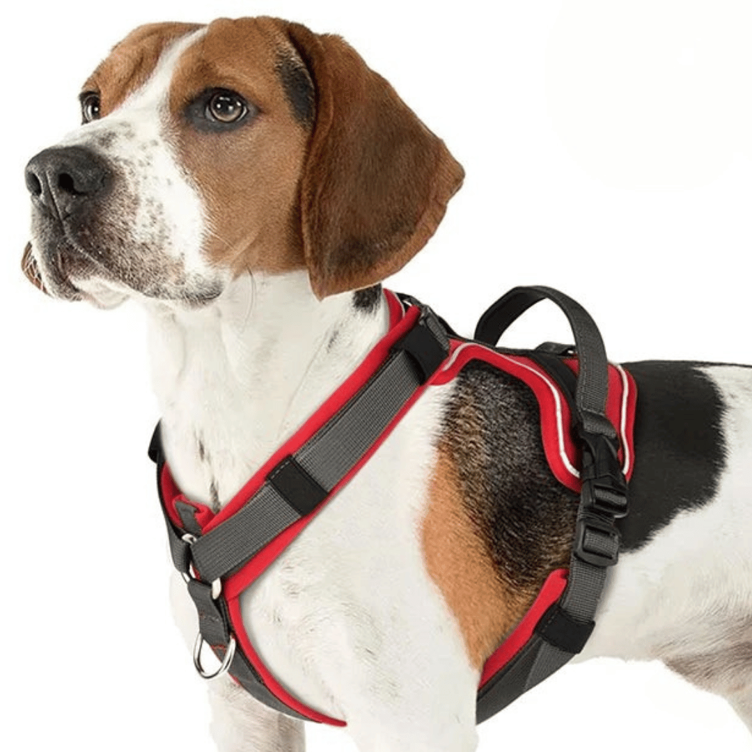 PupSafe | Dog Harness with Handle & Reflective Material | Adjustable Fit for Enhanced Safety During Walks 1
