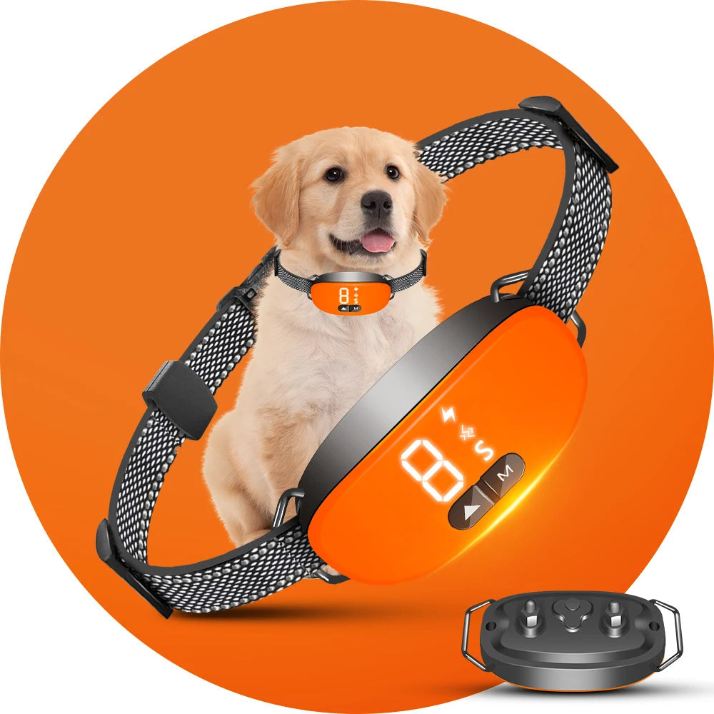 Smart Anti-Bark Dog Collar with Adjustable Sensitivity | Effective Training for Peaceful Living 4