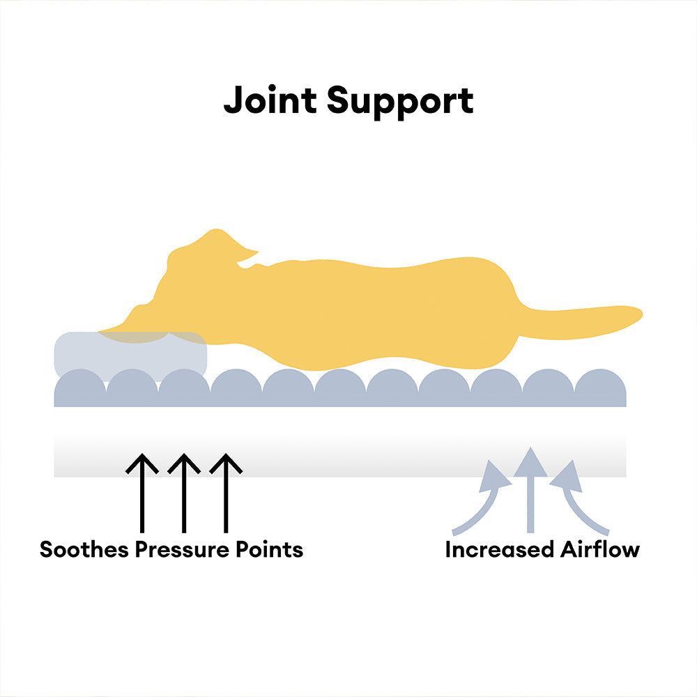 Snoozy Dream | Large Orthopedic Dog Bed with Elevated Headrest | Cozy Support for Joint Health 2