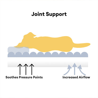 Snoozy Dream | Large Orthopedic Dog Bed with Elevated Headrest | Cozy Support for Joint Health 2