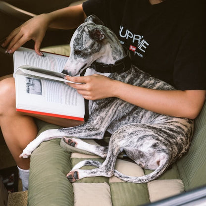 Travel Bolster | Large Dog Car Seat with Waterproof Design | Comfortable Pet Car Seat for Safe Journeys 8